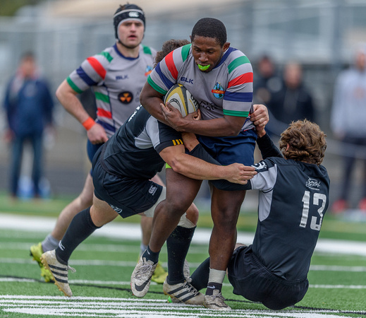 Rugby Gold Cup-0264