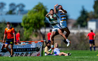 Cal Rugby