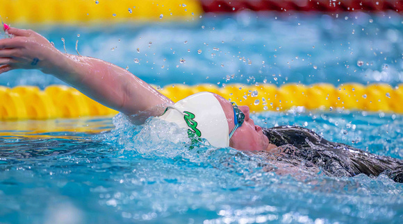 Edina Swimming & Diving - 2023 State Tournament-