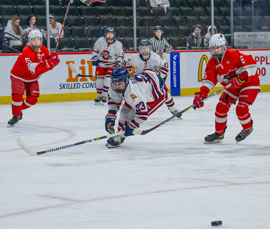 2024 Grils State Hockey Tournament - Orono vs. Willmar