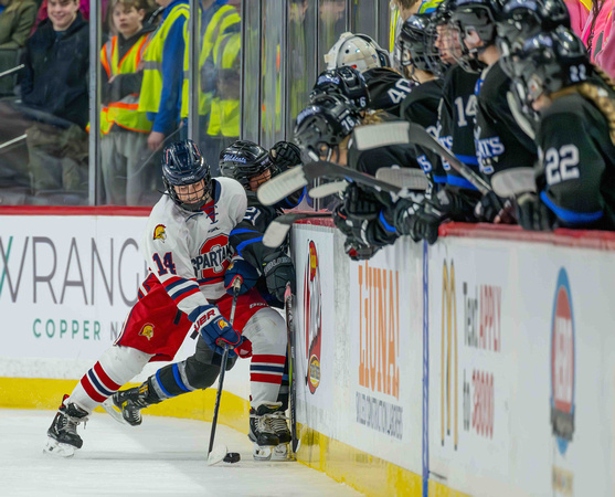 2024 Grils State Hockey Tournament - Orono vs. Dodge County