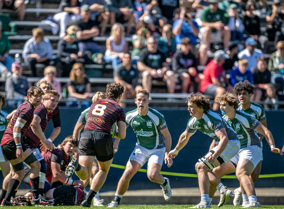De La Salle Rugby vs Torrey Pines-8299