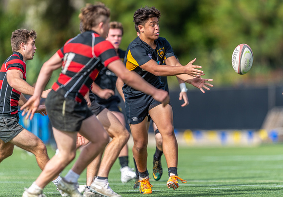 Danville Oaks Rugby, Dennis Storer Classic-8206