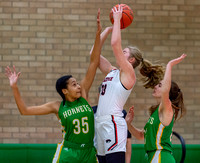 Edina Grils Varsity Basketball 2020