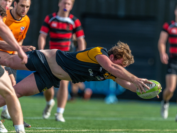 Danville Oaks Rugby, Dennis Storer Classic-8368