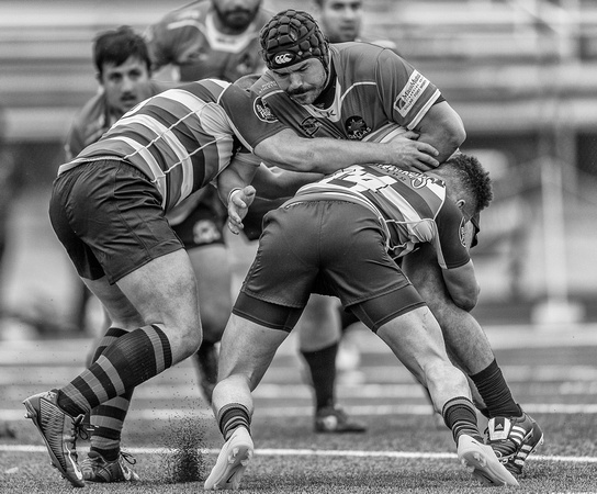 Rugby Gold Cup-0056-Edit